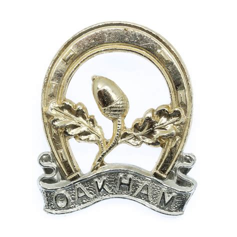 Scarce Oakham School Combined Cadet Force Anodised Staybrite Cap Badge