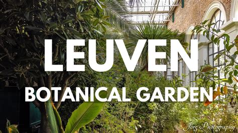 Leuven Botanical Garden Kruidtuin Best Of Belgium Belgium Travel