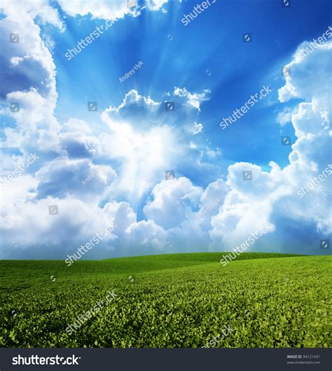 Green Meadow Under Blue Sky With Clouds Stock Photo 94121431 Shutterstock