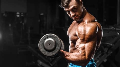 Top 15 Biceps Peak Exercises For Building Monster Arms Fitness Volt