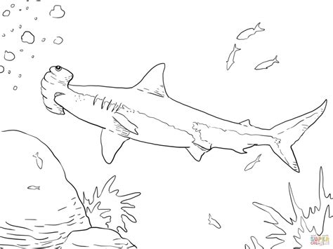 Get This Hammerhead Shark Coloring Pages 56731