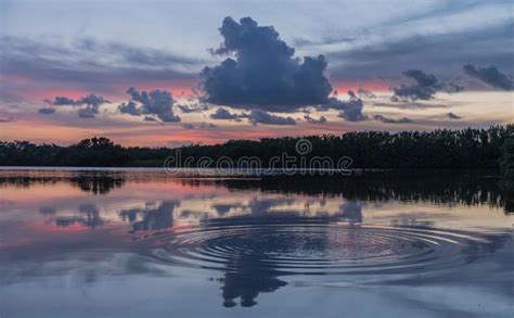 Sunset In Lake Of Everglades National Park Stock Image Image Of