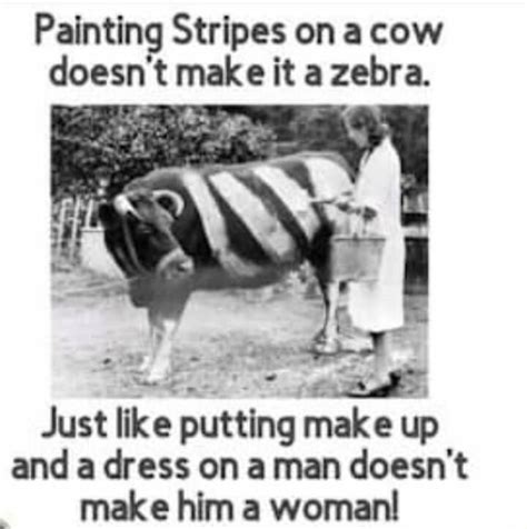 Painting Stripes On A Cow Doesnt Make It A Zebra Just Like Putting