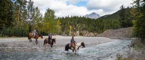 Horseback Rides That Cross Rivers In Banff Banff Trail Riders