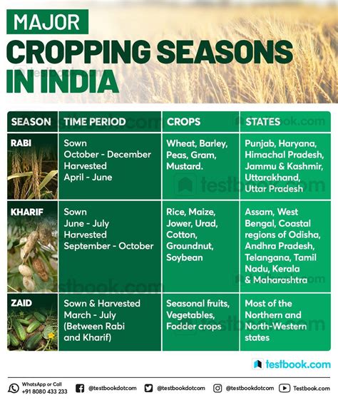 3 Major Cropping Seasons In India Kharif Rabi And Zaidin Detail