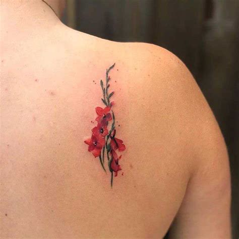 Gladiolus Tattoo Sign Of Strength With Elegance Tat Hit