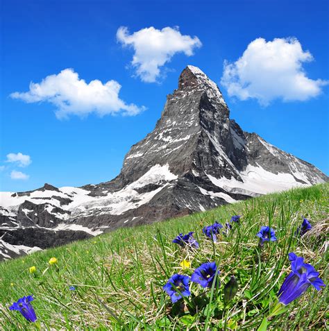 Matterhorn In The Foreground Blooming Gentian Pennine Alp Flickr