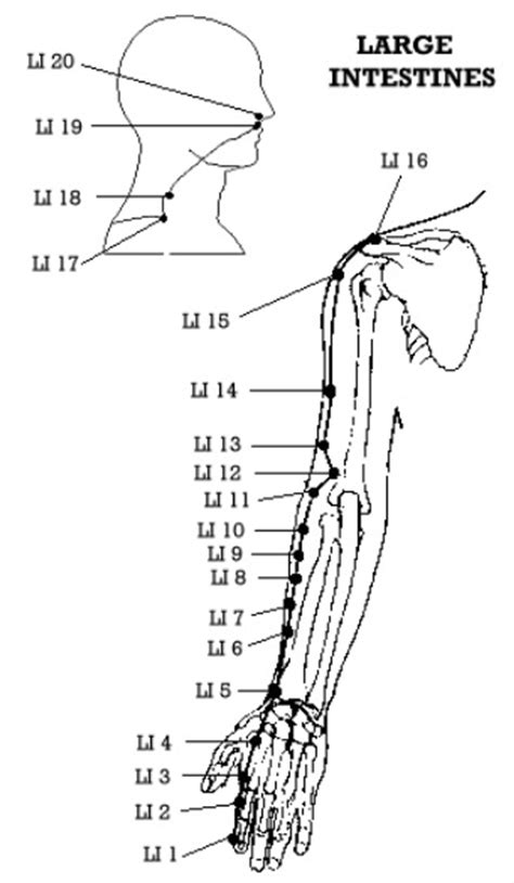 Imagine that great sense of relief when you allow yourself to drop tension from the body, dissolve limiting beliefs, release toxins and negativity and. Acupressure Locations