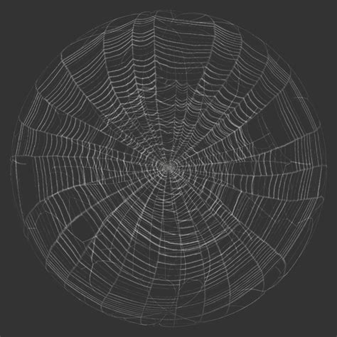 Spider Web Cobweb Texture Free Pbr Texturecan
