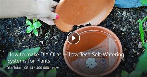 Two Simple Ways To Make Your Own Ollas These Traditional Self Watering