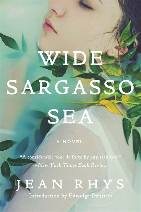 Literary Devices In Wide Sargasso Sea ️