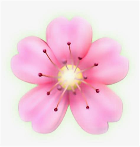 Flower Emoji Png Iphone Flower Emoji Png 1024x1024 Png Download