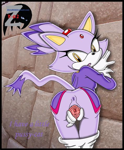 Rule 34 Animated Anthro Blaze The Cat Cat Feline Female Female Only Fur Mammal Sega Solo Sonic