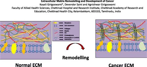 Extracellular Matrix Remodeling And Development Of Cancerstem Cell