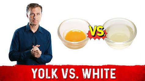 Egg Yolk Vs Egg White Whats The Difference Youtube
