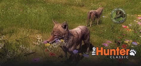 Thehunter Classic The Most Realistic Hunting Game Ever Created