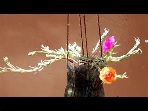 Maybe you would like to learn more about one of these? How to Propagate Portulaca Grandiflora / Moss-rose ...