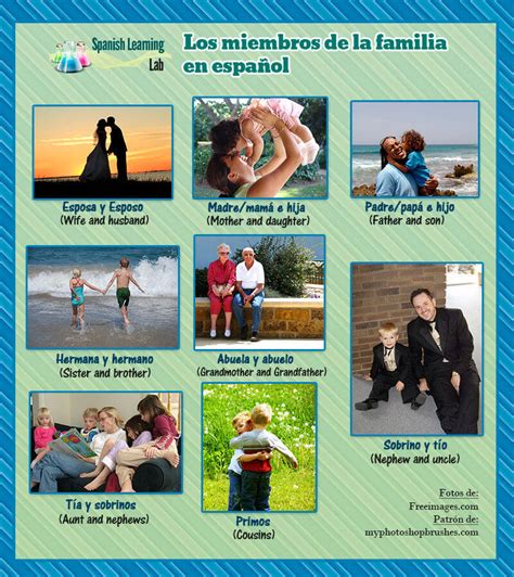 Los Miembros De La Familia En Español Lista Y Oraciones Spanish