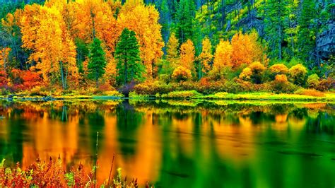 Beautiful Autumn Landscape Backiee