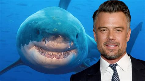 Shark Week Discovery Releases Schedule Including First Original Film Starring Josh Duhamel