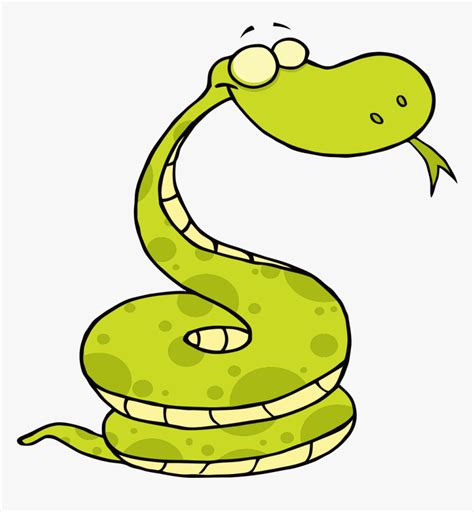 Snake Vipers Clip Art Coiled Snake Cartoon Hd Png Download Kindpng