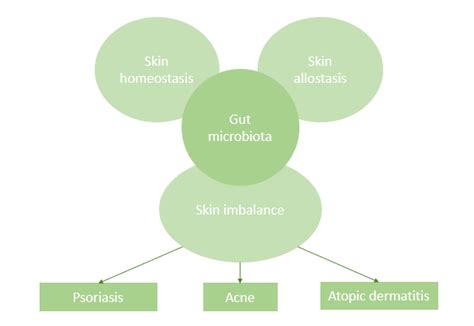 The Gut Microbiota As A Regulator Of The Gut Skin Axis Taiyo Gmbh