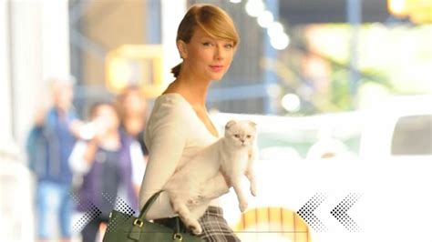 Taylor Swift Cat Olivia Benson 97 Million Being The 3rd Richest Pet In