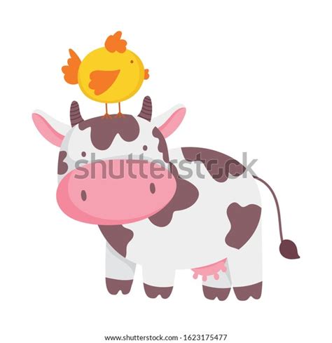 Cow Chicken Head Farm Animal Cartoon Vector De Stock Libre De