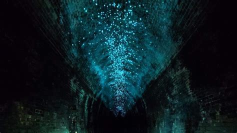 Glow Worm Caves Near Sydney Ellaslist