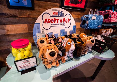 Universal Studios Hollywoods New Pets Store Opens Nbc Los Angeles