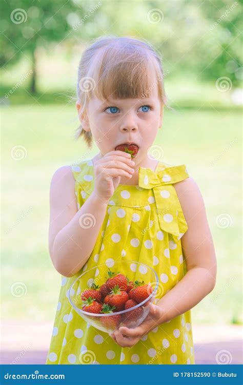 Little Girl Eating Freshly Picked Red Strawberries Stock Photo Image