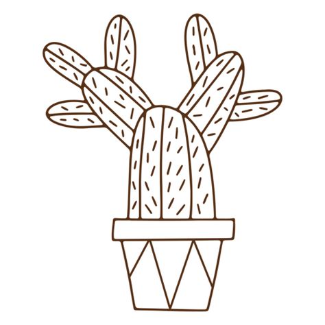 Cactus Stroke Plant Png And Svg Design For T Shirts