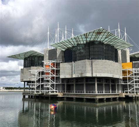 The Lisbon Oceanarium Ideal Place For A Rainy Day