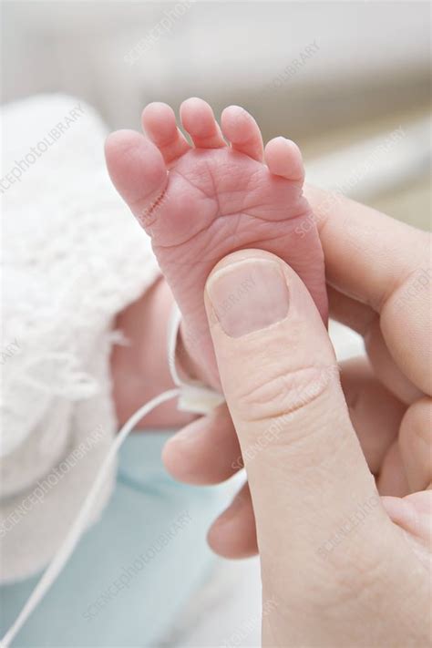 Newborn Babys Foot Stock Image M8150425 Science Photo Library