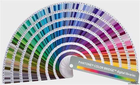 Pantone Cmyk And Rgb Colors Explained