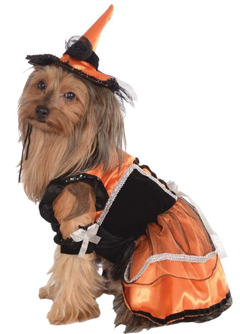 Pet Orange Witch Halloween Costume Dog Witch Costume Cat Dog Costume