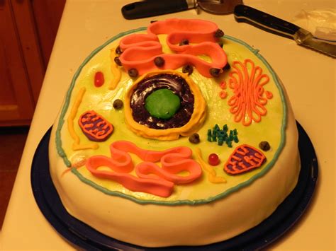 How To Make Animal Cell Cake Human Cell Cake Tiner77 Flickr