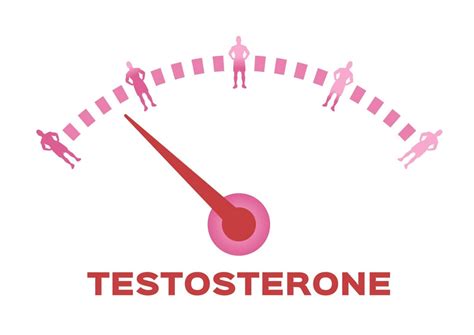 4 myths about low testosterone alliance urology