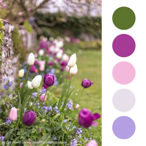 Colour Palette Inspiration — Beautiful Simplicity Aqua Color Palette
