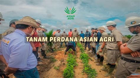 Tanam Perdana Kelapa Sawit Asian Agri Youtube