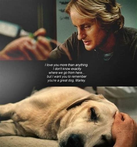 Https://techalive.net/quote/marley And Me Quote End Of Movie