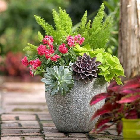 Garden Ideas In Autumn Bring Your Potted Plants Indoors