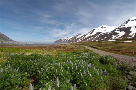 Beautiful Iceland Mountain Landscape Stock Photo Image Of Ocean