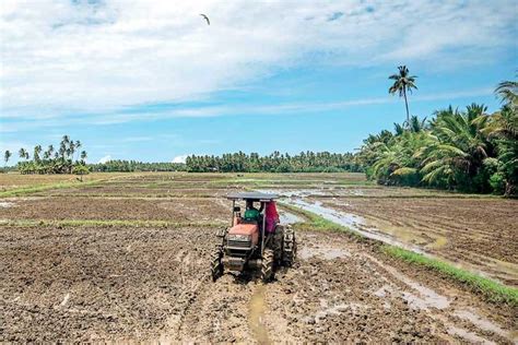 food crisis in sri lanka from granary of east to barren nation news features daily mirror