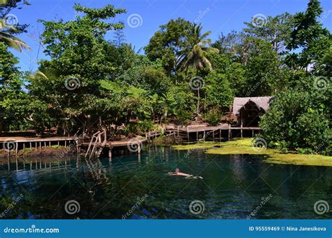 Blue Hole In Espiritu Santo Island Vanuatu Stock Image Image Of