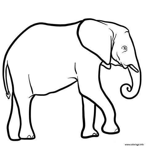 Coloriage Elephant Afrique Australe Dessin Animaux Sauvages à Imprimer