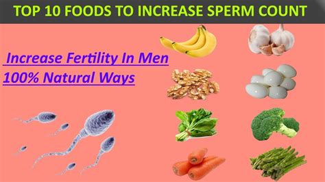 10 Indian Foods To Increase Sperm Count In Natural Ways Male Fertility Boost Men Health