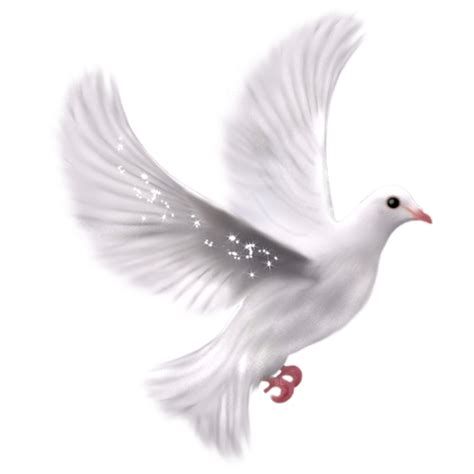 Va Colombe De Paix Go Dove Of Peace Laube Fleurie