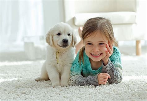 Picture Of Golden Puppy Happy Little Girl Dog Pictures Photography
