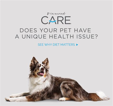 The diamond pet foods brand is owned by schell and kampeter. Diamond Pet Foods | Dog & Cat Food of Exceptional Quality